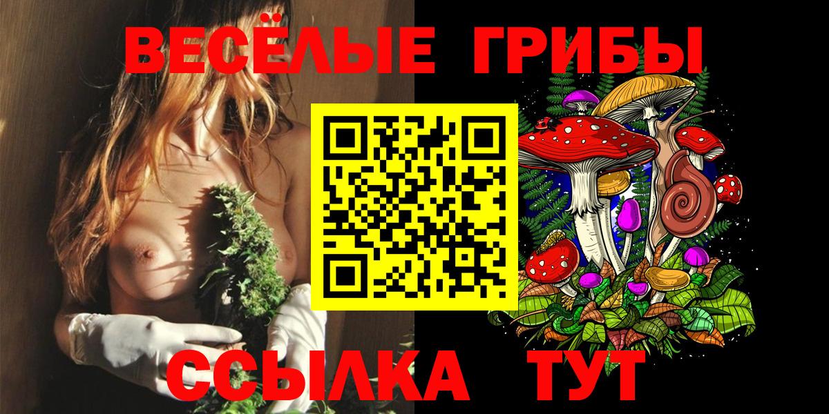 Псилоцибиновые грибы MAGIC MUSHROOMS  Вход с VPN  Галлюциногенные грибы Magic Shrooms  Нурлат 